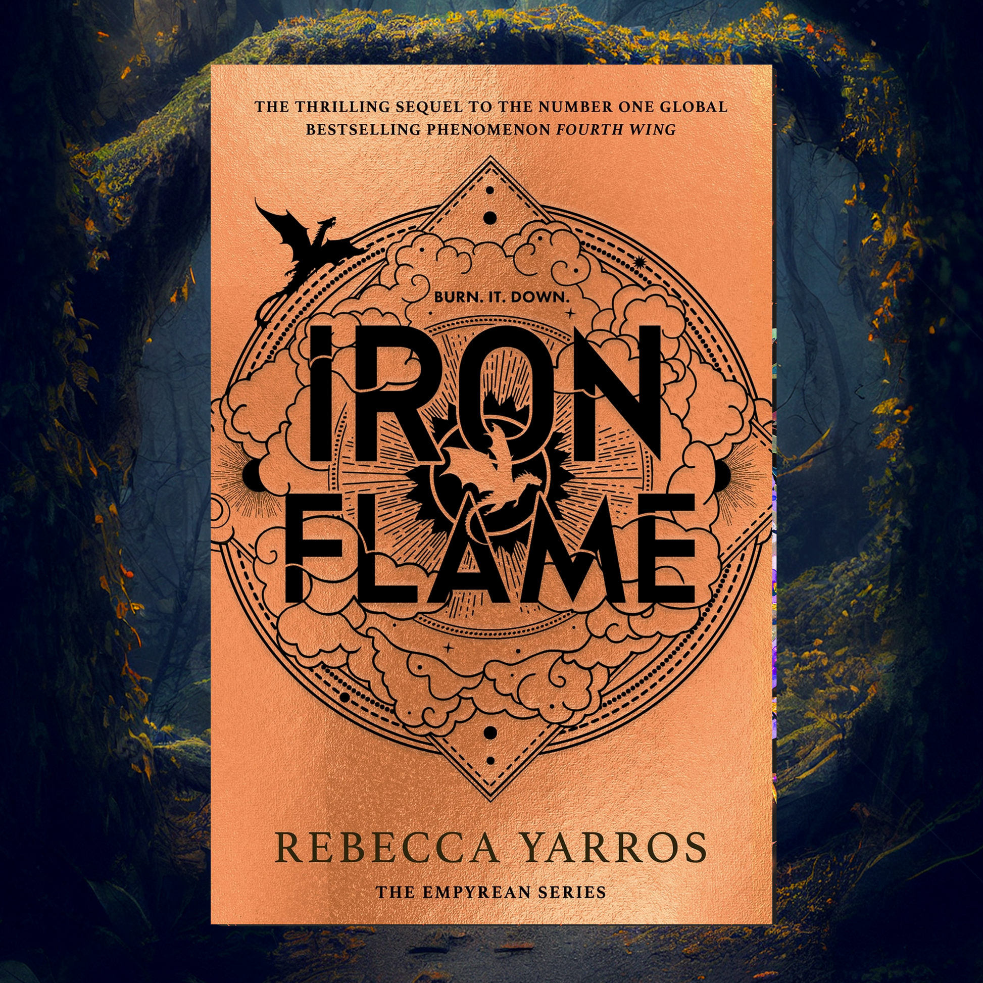 Fourth Wing & Iron Flame SPECIAL EDITIONS by Rebecca Yarros, Hardcover